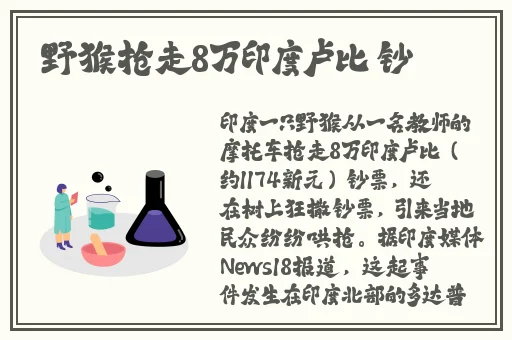 911爆料网爆料小羊没烦脑